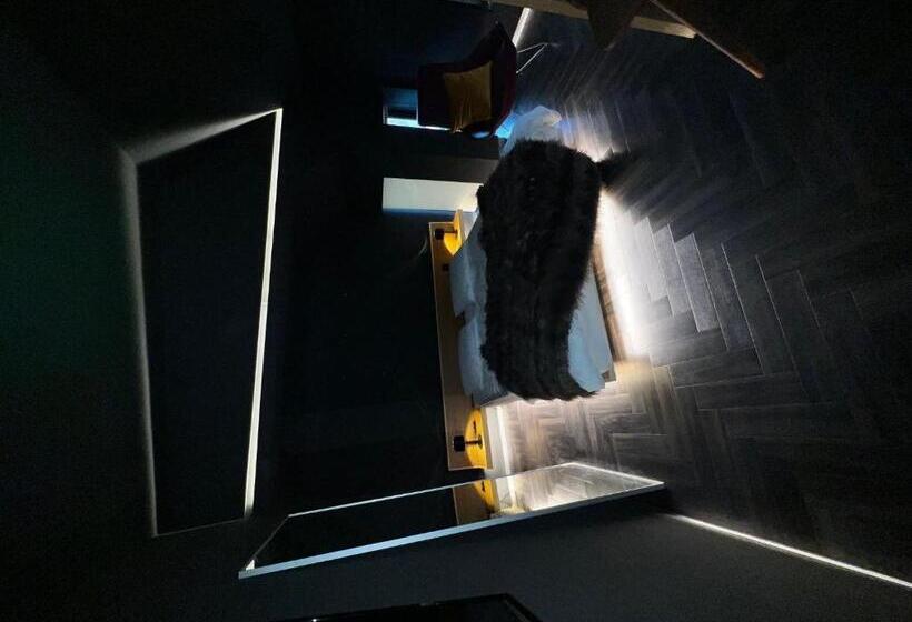 住宿加早餐 Luxury Private Bedroom, No Breakfast