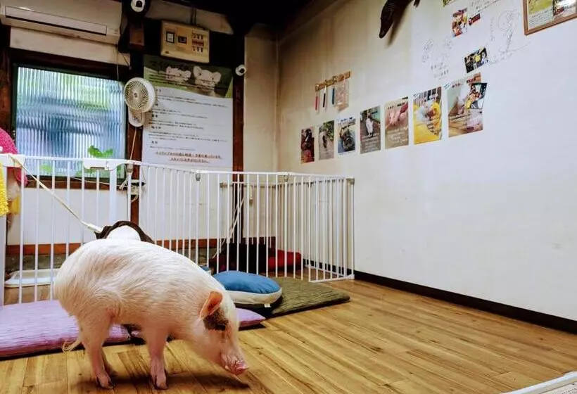 Majatalo 四季の宿 徹星