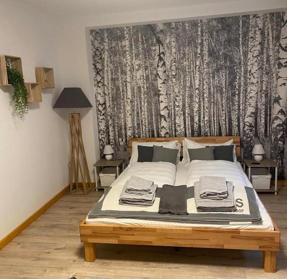 Pensão Forest Apartment Forest Escape Menzenschwand