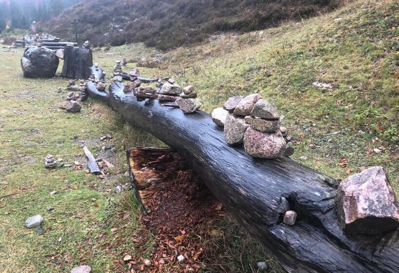 Pensão Forest Apartment Forest Escape Menzenschwand