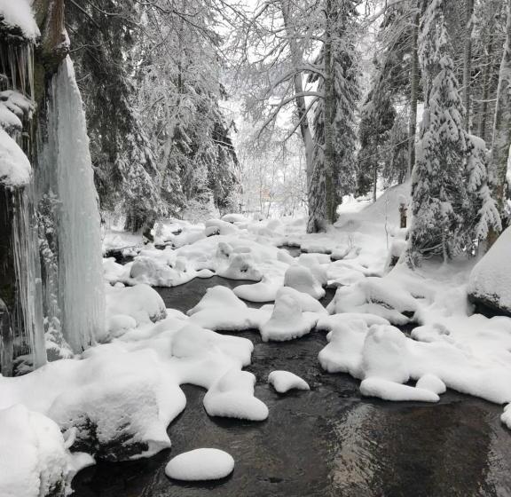Pensão Forest Apartment Forest Escape Menzenschwand