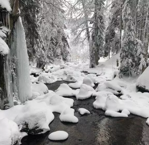 Majatalo Forest Apartment Forest Escape Menzenschwand