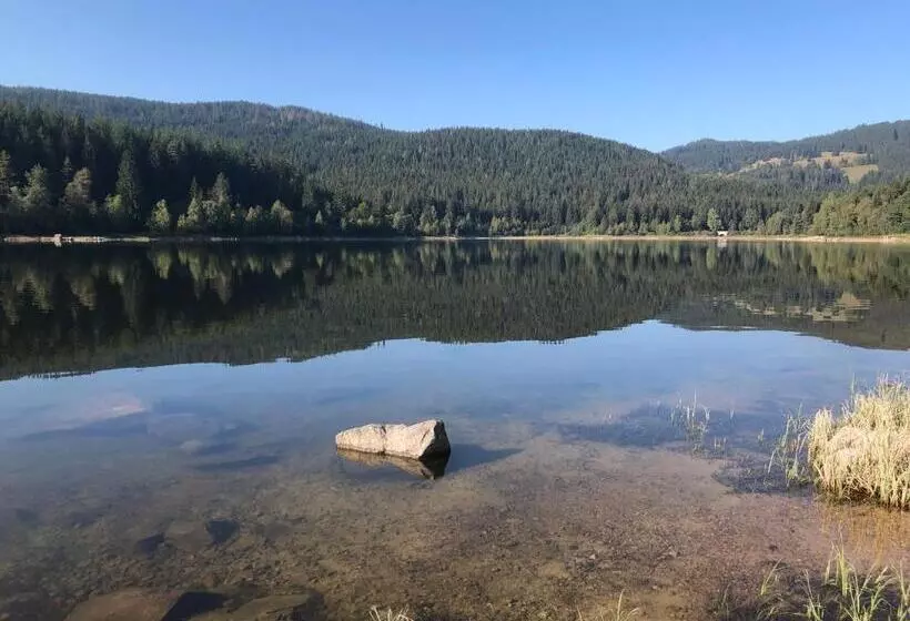 Majatalo Forest Apartment Forest Escape Menzenschwand