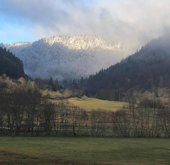 Pensão Forest Apartment Forest Escape Menzenschwand