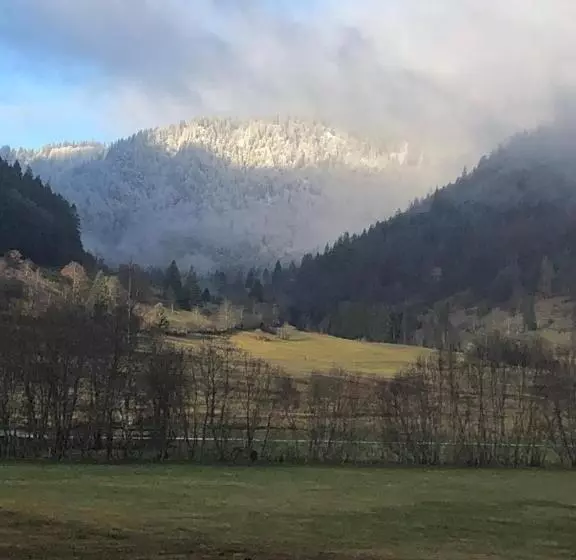 Majatalo Forest Apartment Forest Escape Menzenschwand