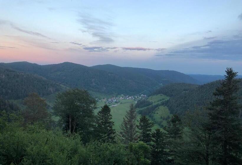 Pensão Forest Apartment Forest Escape Menzenschwand