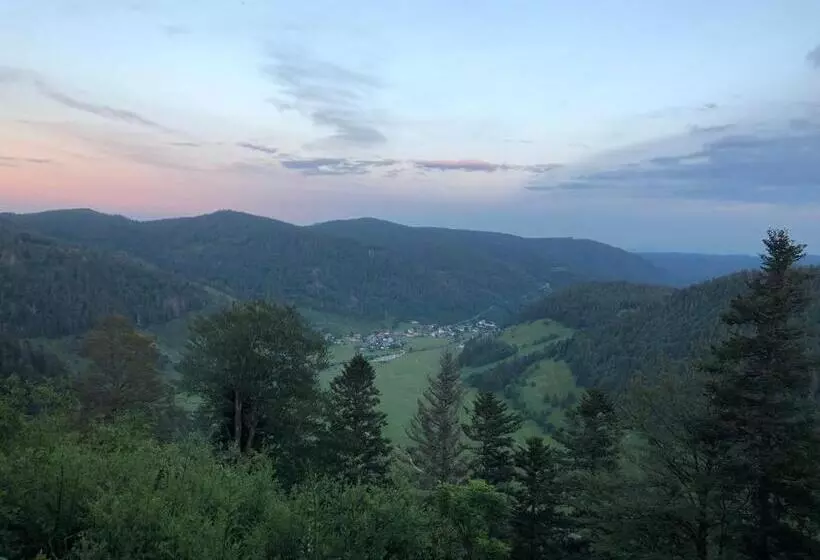 Majatalo Forest Apartment Forest Escape Menzenschwand