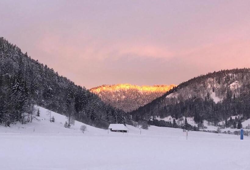 Pensão Forest Apartment Forest Escape Menzenschwand