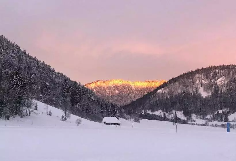 Majatalo Forest Apartment Forest Escape Menzenschwand