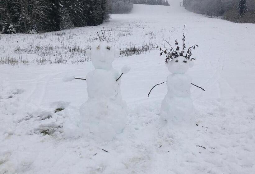 Pensão Forest Apartment Forest Escape Menzenschwand