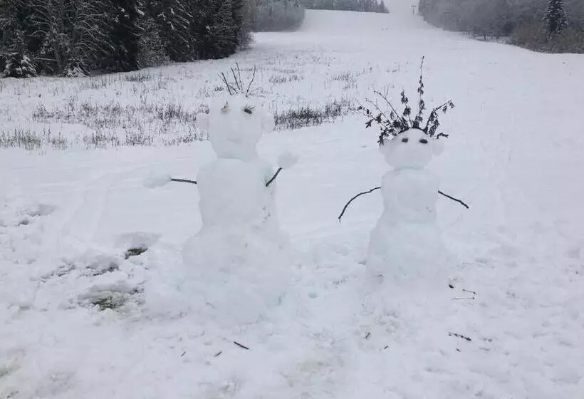 Majatalo Forest Apartment Forest Escape Menzenschwand