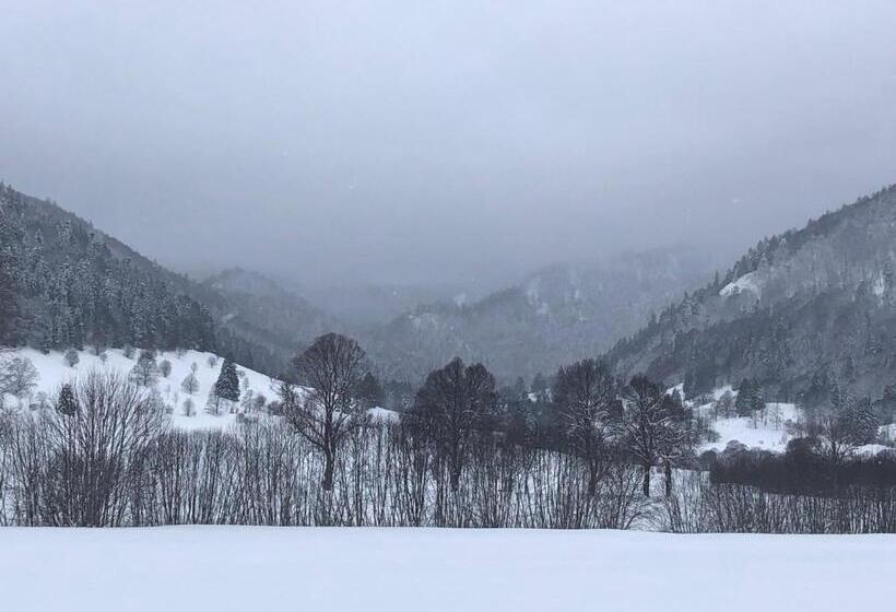 Pensão Forest Apartment Forest Escape Menzenschwand