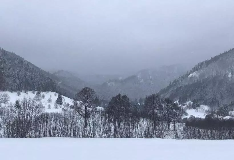 Majatalo Forest Apartment Forest Escape Menzenschwand