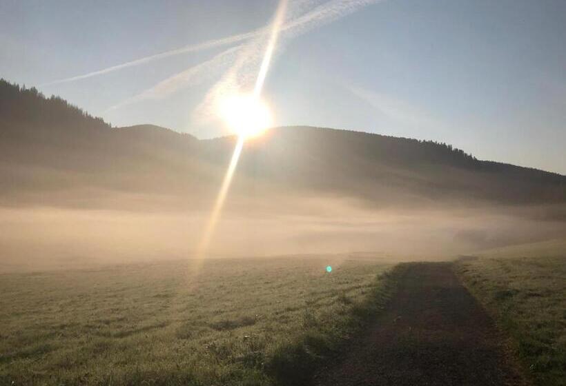 Pensão Forest Apartment Forest Escape Menzenschwand