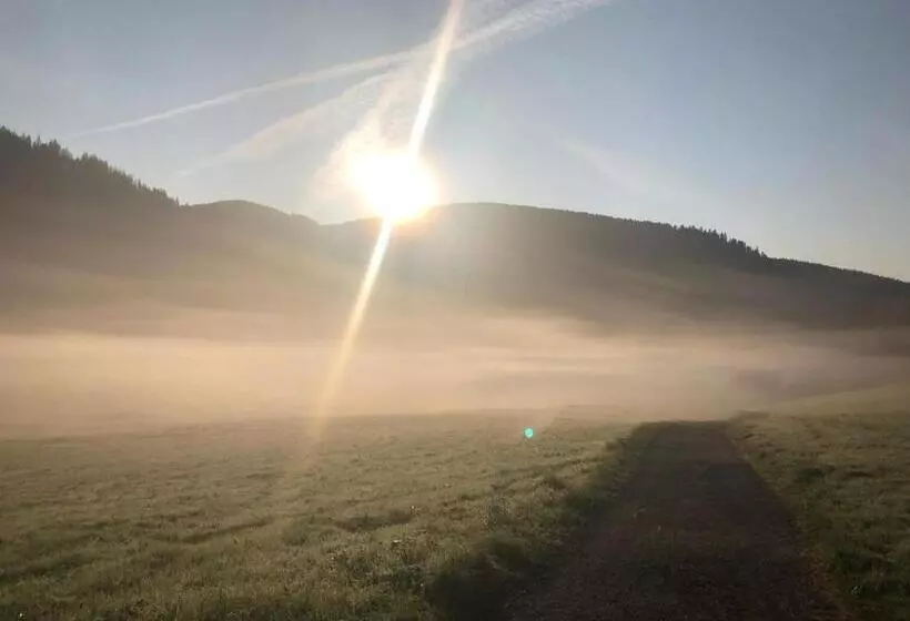 Majatalo Forest Apartment Forest Escape Menzenschwand