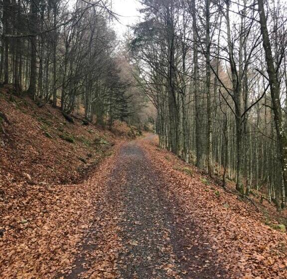 Pensão Forest Apartment Forest Escape Menzenschwand