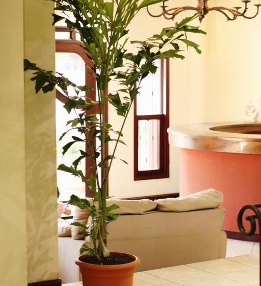 پانسیون Nesthost Stay