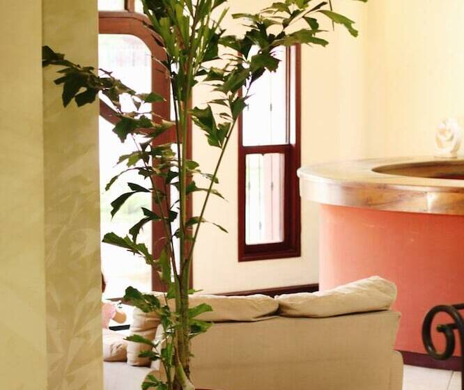 پانسیون Nesthost Stay