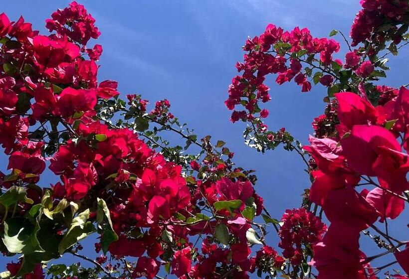 Pensjonat Sitio Do Sossego Suites #2