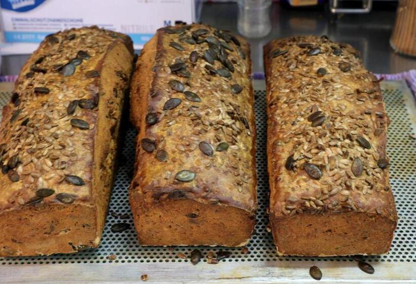 ユースホステル Klaarcamp