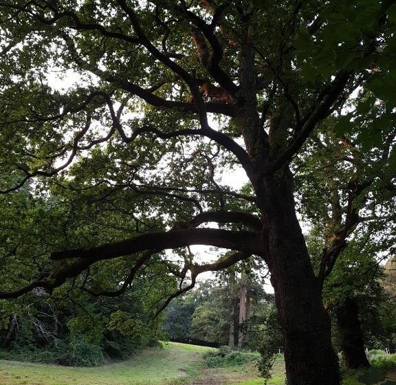 צימר Château De La Luardaye