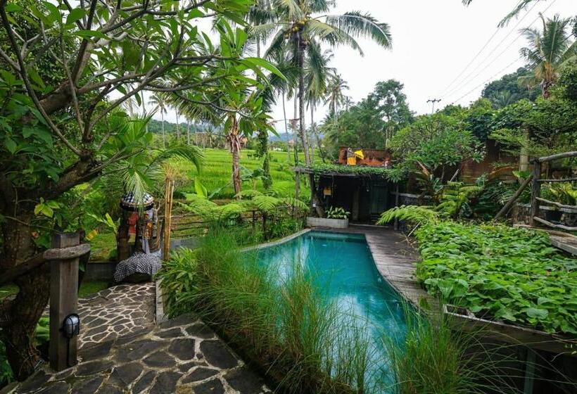 住宿加早餐  Omantra Home Bali