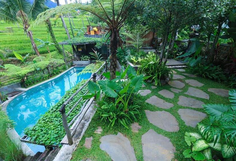 住宿加早餐  Omantra Home Bali