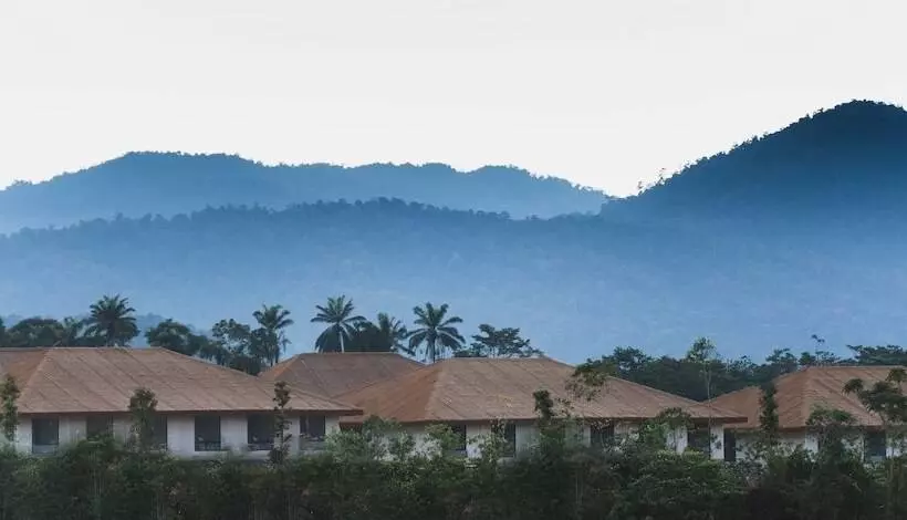 ホテル Monkeys Canopy Resort