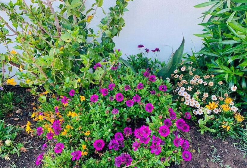 호텔 Sogno Sulcitano Masainas