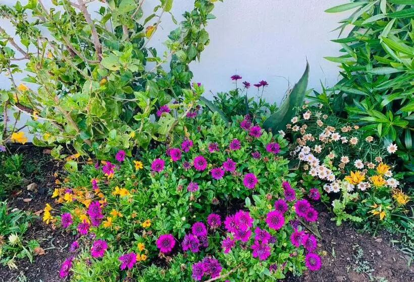 Hotelli Sogno Sulcitano Masainas