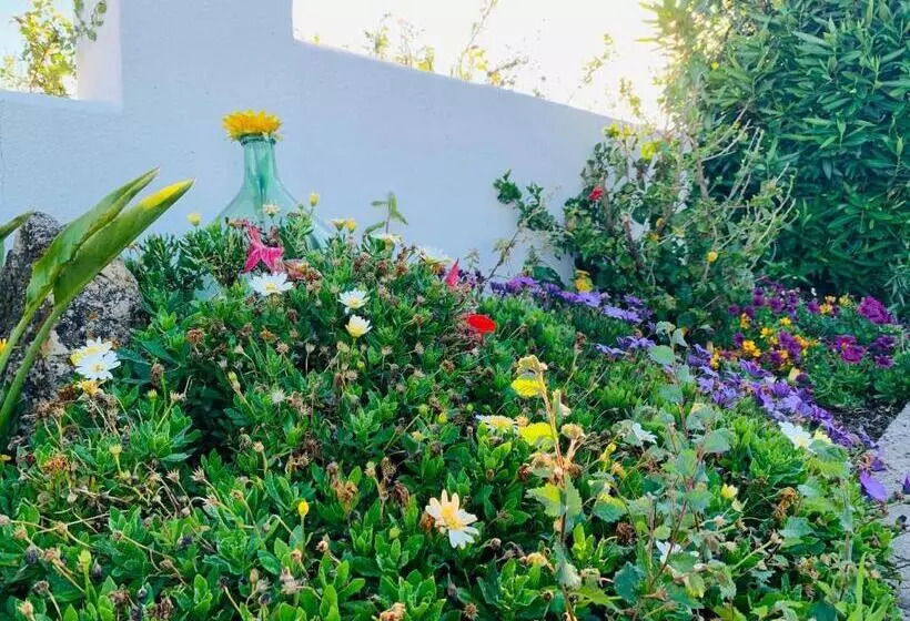 Hotelli Sogno Sulcitano Masainas