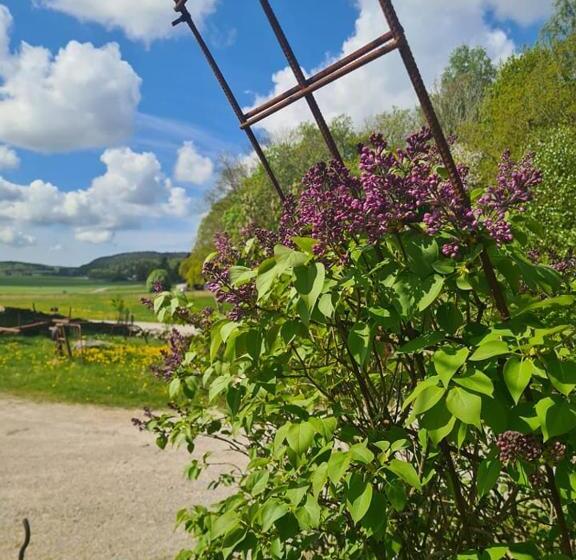 Otel The Thistle Inn   Eko Farmstay
