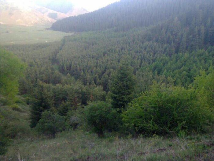 پانسیون Benni Guest House