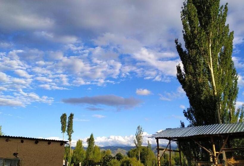 پانسیون Benni Guest House