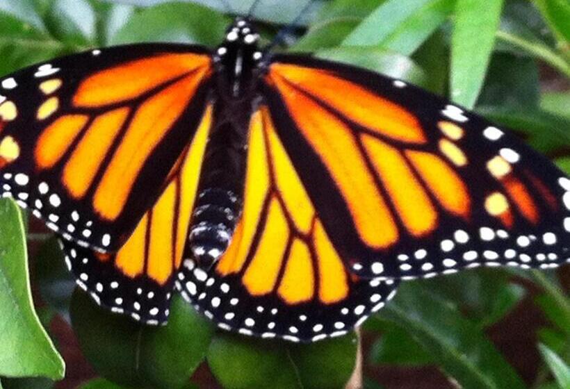 ペンション Centre Of Town