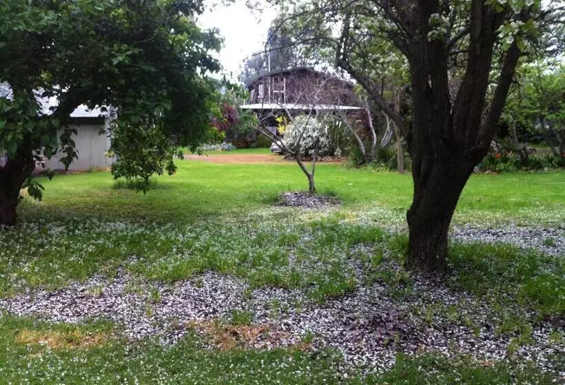 Majatalo Centre Of Town