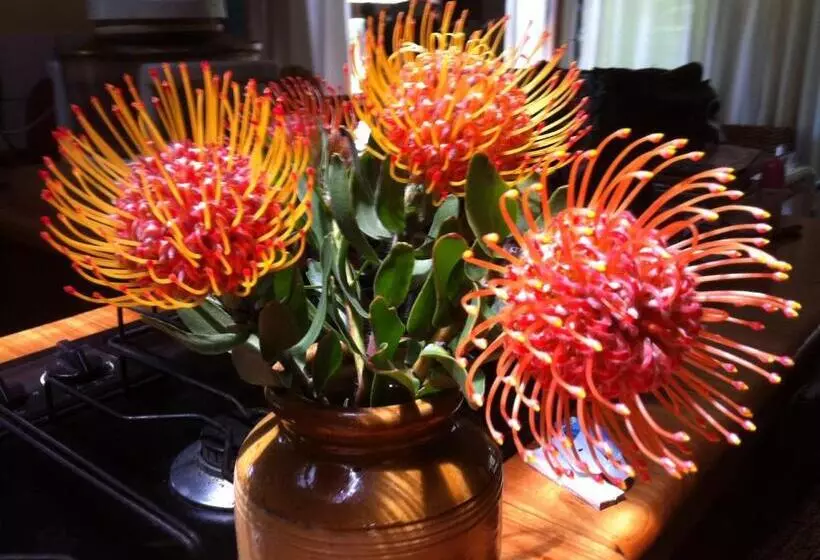 Majatalo Centre Of Town