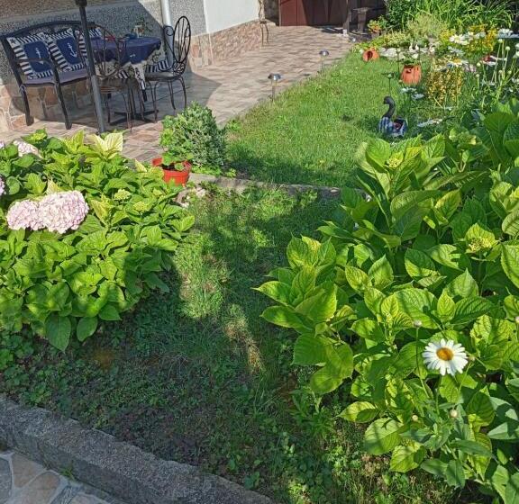 بنسيون Guest House Kotva