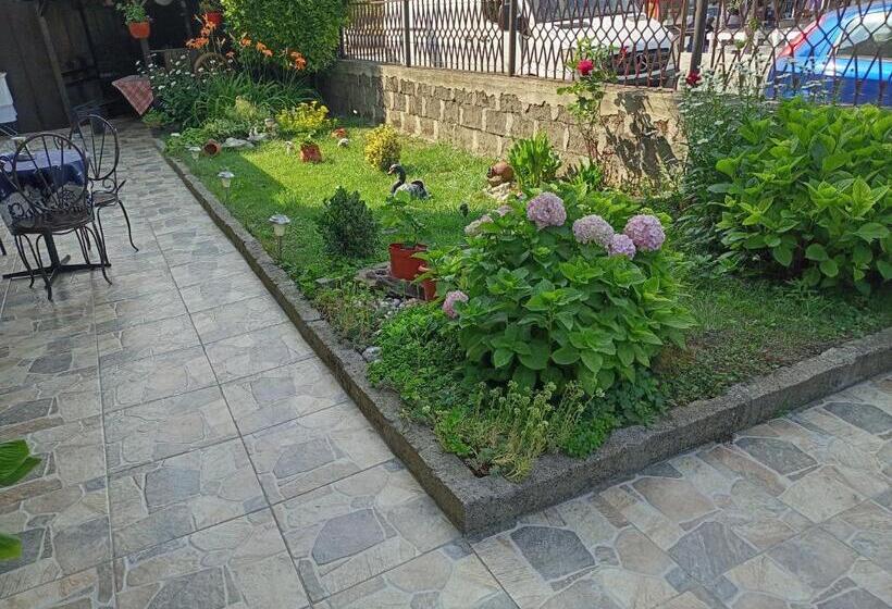 بنسيون Guest House Kotva