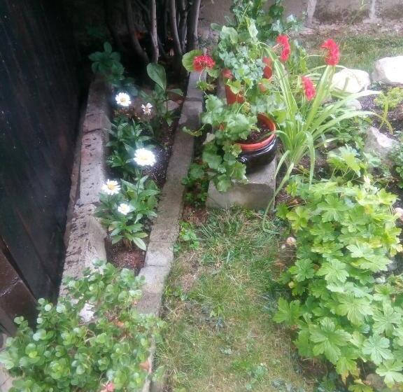 بنسيون Guest House Kotva