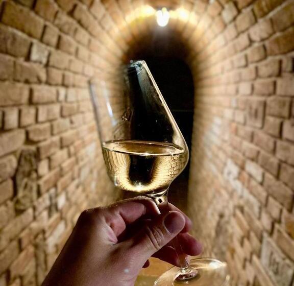 膳宿费 Penzion šaldorf