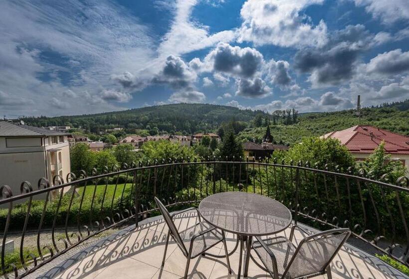 ペンション Vila Astoria