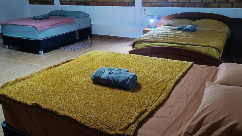 تختخواب و صبحانه Tiktoker Lodge