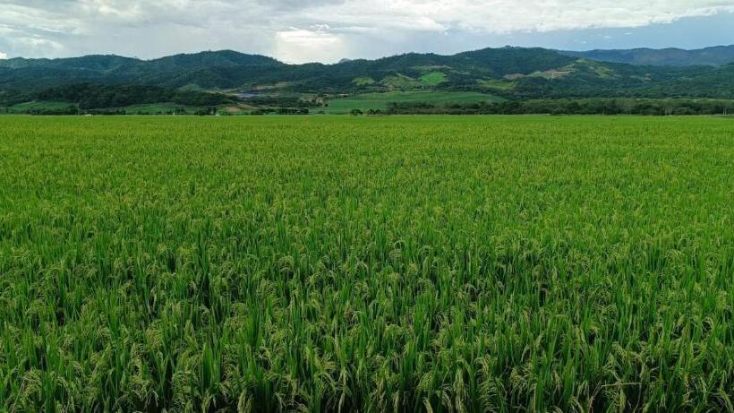 تختخواب و صبحانه Tiktoker Lodge