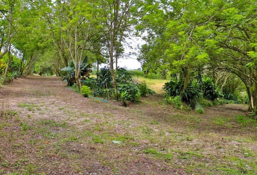 El Sendero Del Quindío I Finca Hotel I Eje Cafetero