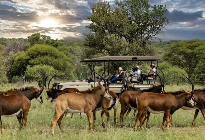 ホテル Sable Ranch Thaba Khaya Lodge