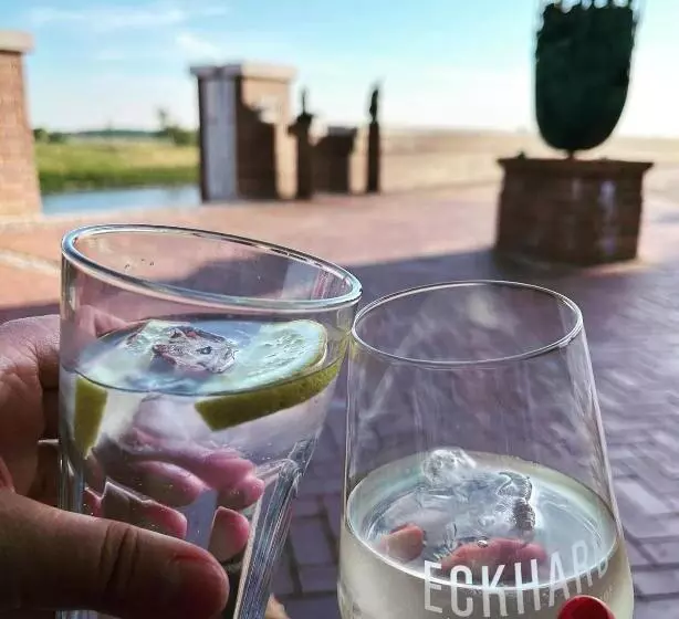 Pension Zum Goldenen Anker Direkt An Der Elbe