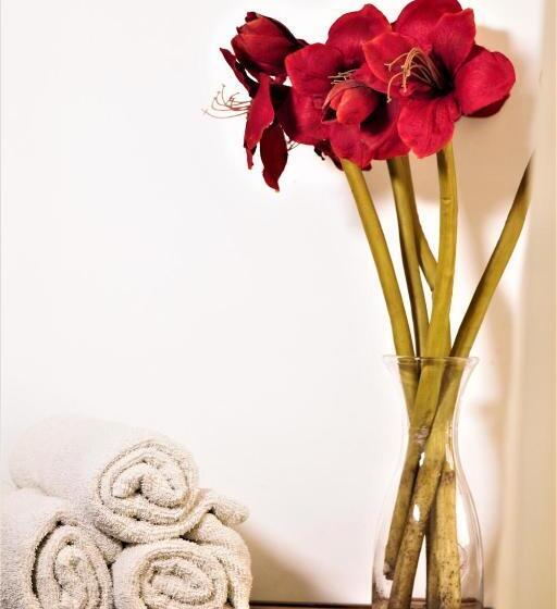 فندق صغير Ito Del Mar   Main Street