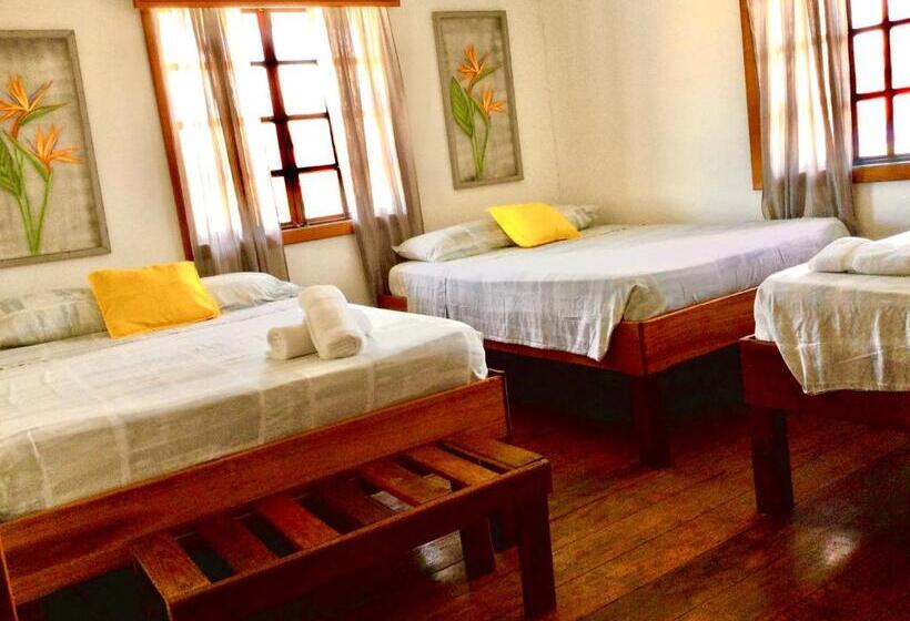 فندق صغير Ito Del Mar   Main Street