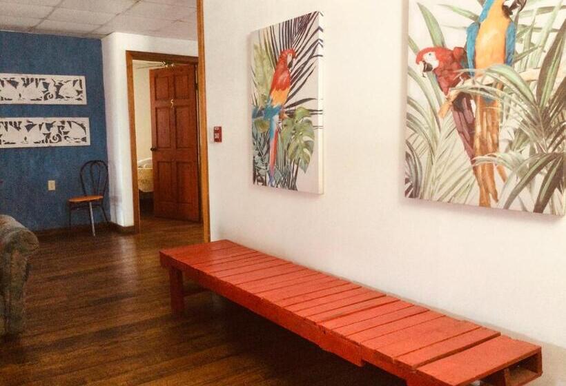 فندق صغير Ito Del Mar   Main Street